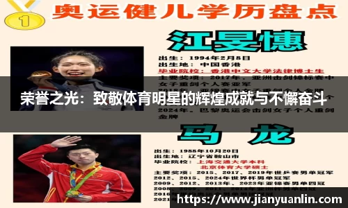 荣誉之光：致敬体育明星的辉煌成就与不懈奋斗